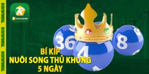 Bí kíp nuôi song thủ khung 5 ngày