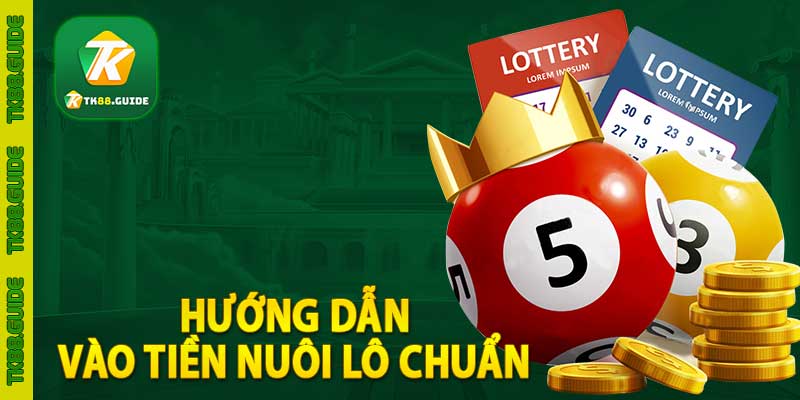 Hướng dẫn vào tiền nuôi lô chuẩn 