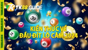 Kiến thức về đầu đít lô câm 2024