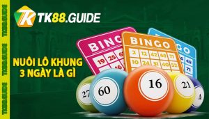 Nuôi lô khung 3 ngày là gì