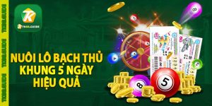 nuôi lô bạch thủ khung 5 ngày hiệu quả
