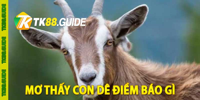 Giải Mã Giấc Mơ Thấy Con Dê: Điềm Báo May Mắn Hay Rủi Ro? 1 mơ thấy con dê điềm báo gì